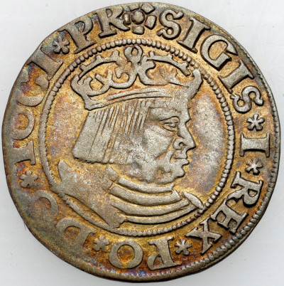 Zygmunt I Stary. Grosz 1531, Gdańsk