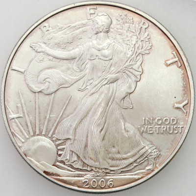 USA dolar 2006 Liberty - SREBRO uncja