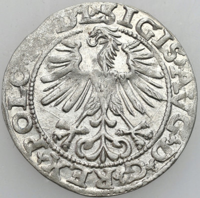 Zygmunt II August. Półgrosz 1563, Wilno - ŁADNY