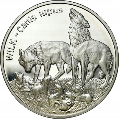 III RP. 20 złotych 1999 Wilki – RZADSZE - SREBRO