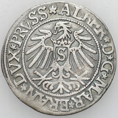 Prusy Książęce. Hohenzollern Grosz 1537, Królewiec