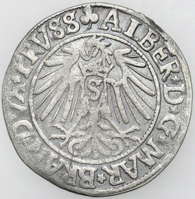 Albert Hohenzollern. Grosz 1541, Królewiec