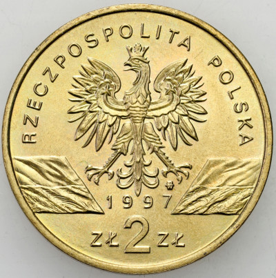 III RP. 2 złote 1997 Jelonek Rogacz – RZADKIE