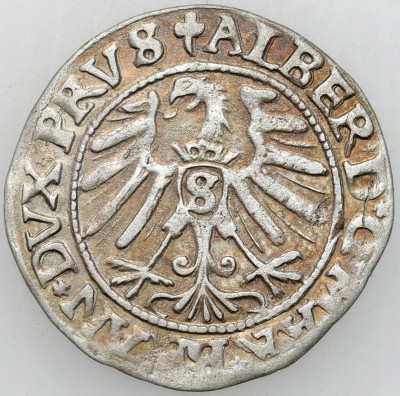 Prusy Książęce A Hohenzollern Grosz 1546 Królewiec