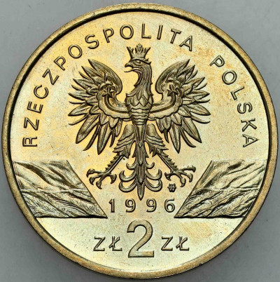 III RP. 2 złote 1996 Jeż – RZADKIE