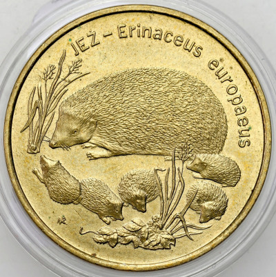 2 złote 1996 Jeż – RZADSZE