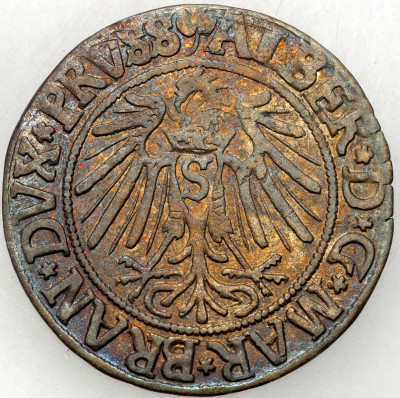 Albert Hohenzollern. Grosz 1541, Królewiec – ŁADNY