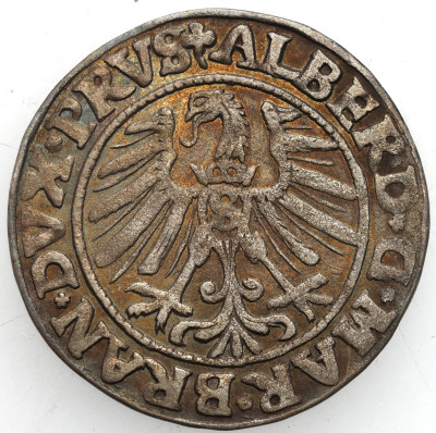 Albert Hohenzollern. Grosz 1546, Królewiec – RZADSZY
