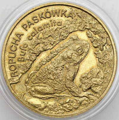 2 złote 1998 Ropucha Paskówka – RZADSZE
