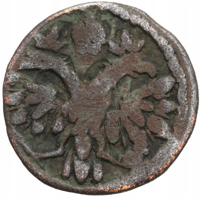 Rosja. Piotr I. Połuszka 1719