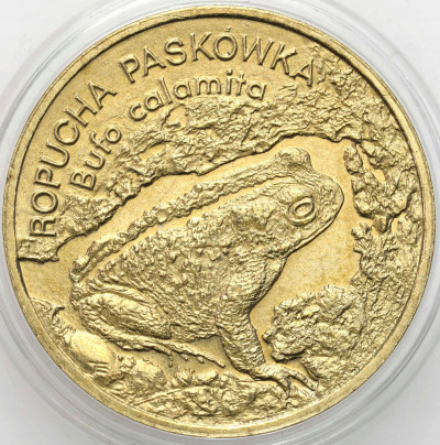 2 złote 1998 Ropucha Paskówka - RZADSZE