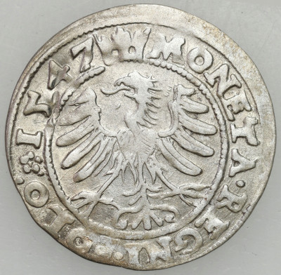 Zygmunt I Stary. Grosz 1547, Kraków – ŁADNY