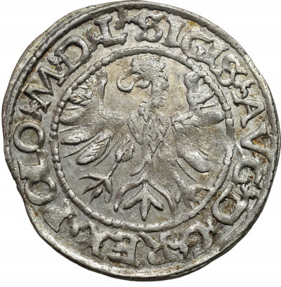 Zygmunt II August. Półgrosz 1566, Tykocin – RZADKOŚĆ R6
