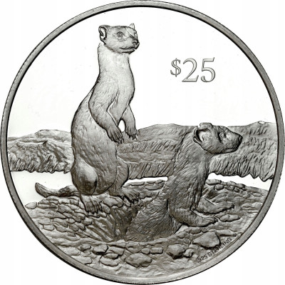 Brytyjskie Wyspy Dziewicze. 25 dolarów 1993 Tchórz Czarnołapy – SREBRO