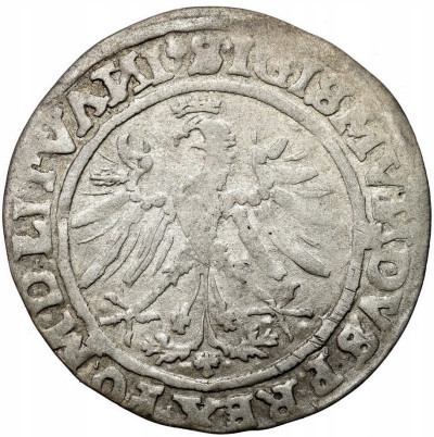 Zygmunt I Stary. Grosz 1535, Wilno - bez liter pod Pogonią