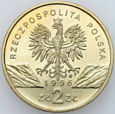 2 złote 1996 Jeż – RZADSZE