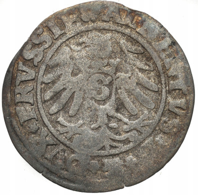 Prusy Książęce. Albrecht Hohenzollern. Szeląg 1531, Królewiec