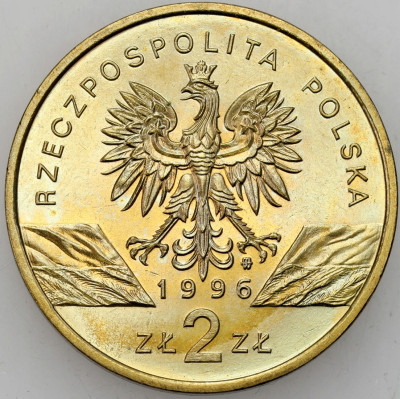 III RP. 2 złote 1996 Jeż – RZADKIE