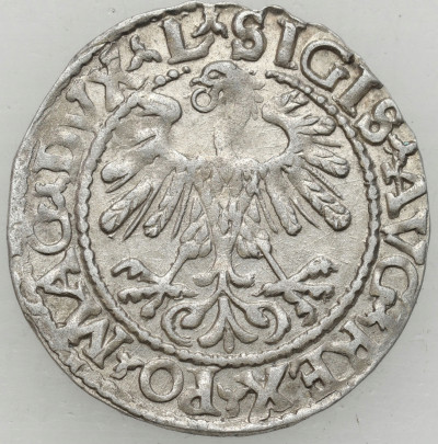 Zygmunt II August. Półgrosz 1559, Wilno – ŁADNY