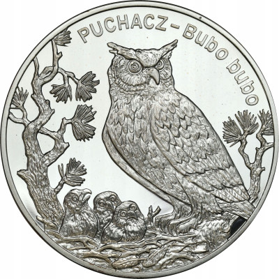 20 złotych 2005 Puchacz – SREBRO