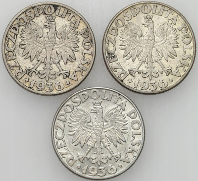 II RP. 2 złote 1936 Żaglowiec – 3 szt