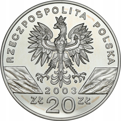 20 złotych 2003 Węgorz Europejski - SREBRO