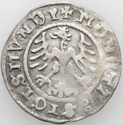 Zygmunt I Stary. Półgrosz 1510, Kraków
