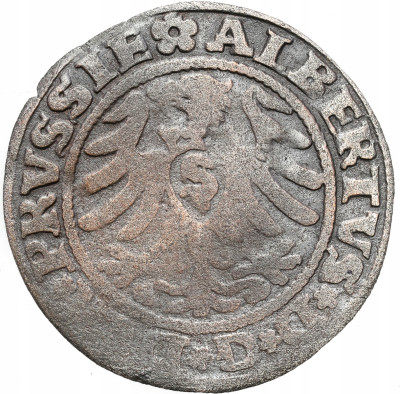Prusy Książęce. Albert Hohenzollern (1525–1568). Szeląg 1530, Królewiec