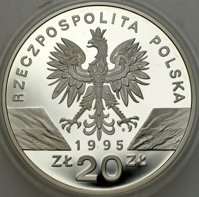 III RP. 20 złotych 1995 Sum - SREBRO