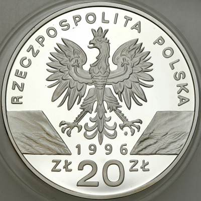 20 złotych 1996 Jeż - SREBRO