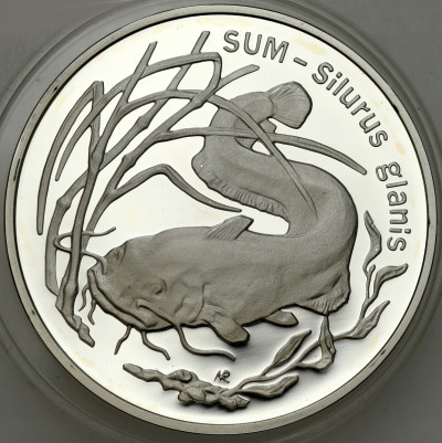 III RP. 20 złotych 1995 Sum - SREBRO