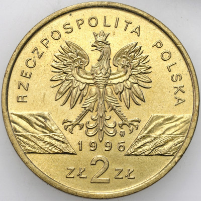 III RP - 2 złote 1996 Jeż – RZADSZE