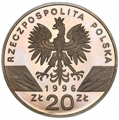 20 złotych 1996 Jeż – SREBRO