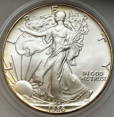 USA - 1 dolar 2017 Liberty - SREBRO UNCJA