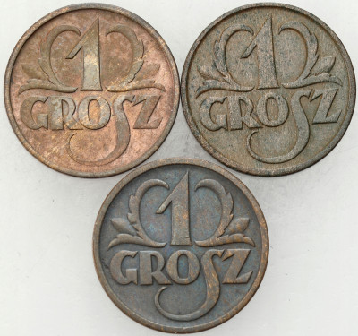 II RP. 1 grosz 1933, 1936, 1937, zestaw 3 szt.