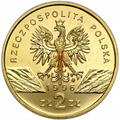 III RP. 2 złote 1996 Jeż - RZADSZE