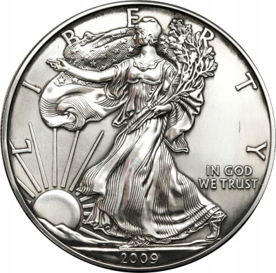 USA 1 dolar 2009 Amerykański Srebrny Orzeł SREBRO uncja