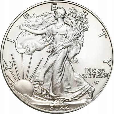 USA 1 dolar 2022 Amerykański Srebrny Orzeł SREBRO uncja
