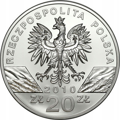 20 złotych 2010 Nietoperz Podkowiec Mały - SREBRO
