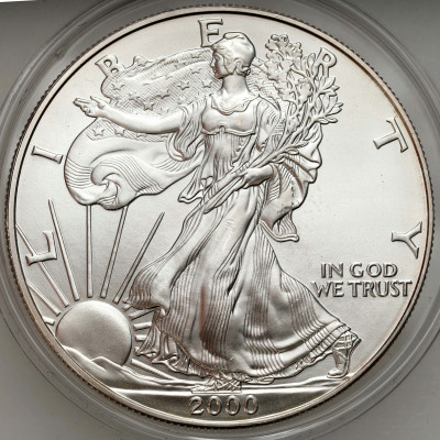 USA - 1 dolar 2000 Liberty - SREBRO UNCJA