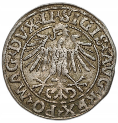 Zygmunt II August. Półgrosz 1548, Wilno