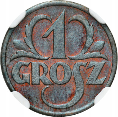 II RP. 1 grosz 1931 NGC MS65 BN - PIĘKNY