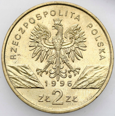 2 złote 1996 Jeż - RZADSZE