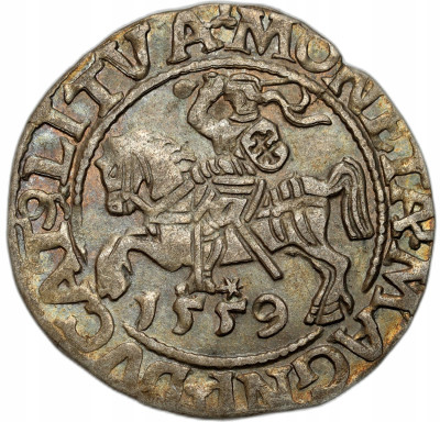 Zygmunt II August. Półgrosz 1559, Wilno – ŁADNY