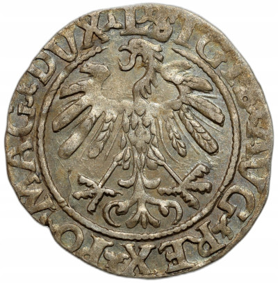 Zygmunt II August. Półgrosz 1559, Wilno – ŁADNY