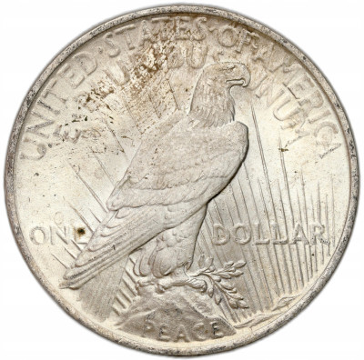 USA - 1 dolar Liberty 1924 - SREBRO