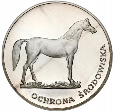 PRL. 100 złotych 1981 - Ochrona środowiska koń - SREBRO