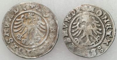 Zygmunt I Stary. Półgrosz 1507 i 1509 – 2 szt