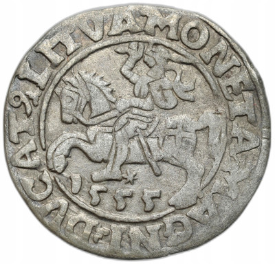 Zygmunt II August. Półgrosz 1555, Wilno