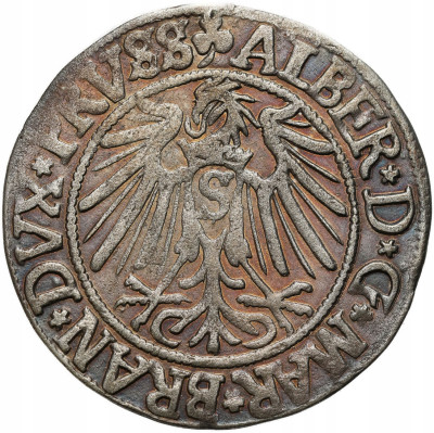 Prusy Książęce. Albert Hohenzollern (1525–1568). Grosz 1542, Królewiec